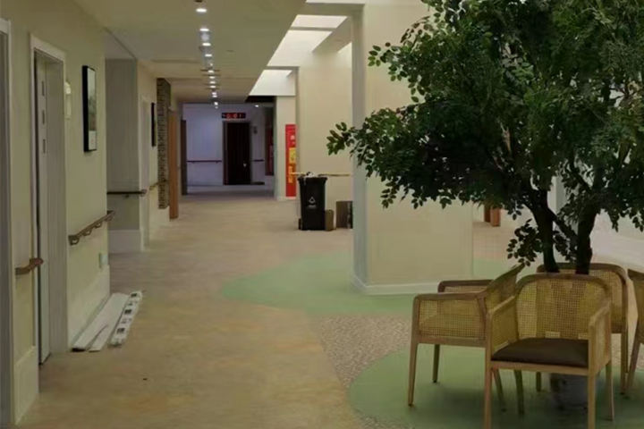 西安康源养老壹心长者屋-老人通道助力扶手 (3)